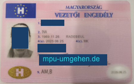 ungarn fs juni 2025